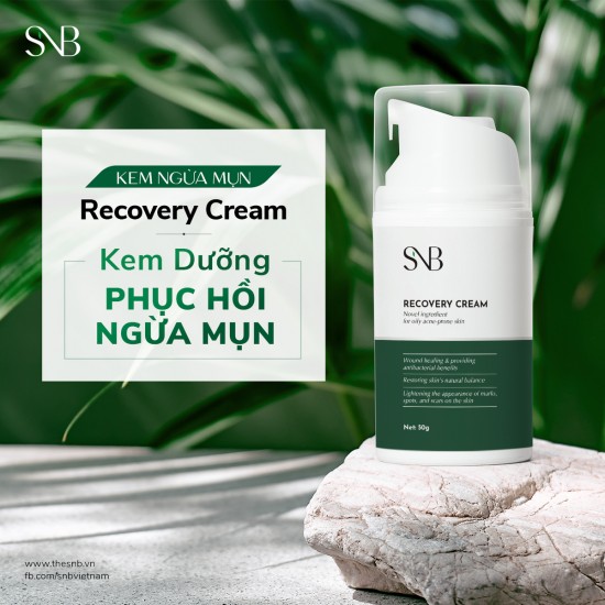 Kem Dưỡng Phục Hồi Ngừa Mụn SNB RECOVERY CREAM 50g